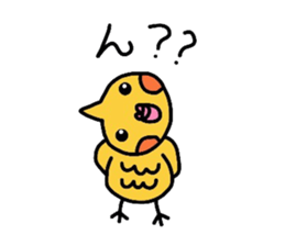 mikan is cockatiel sticker #3915533