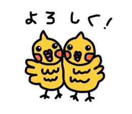 mikan is cockatiel sticker #3915541
