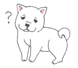 Puppy of white shiba inu sticker #3915607