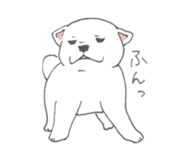 Puppy of white shiba inu sticker #3915612
