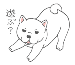 Puppy of white shiba inu sticker #3915613