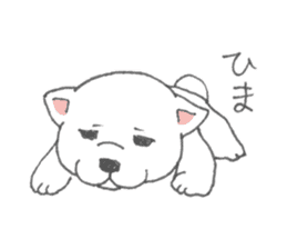 Puppy of white shiba inu sticker #3915615