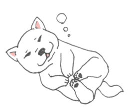Puppy of white shiba inu sticker #3915616