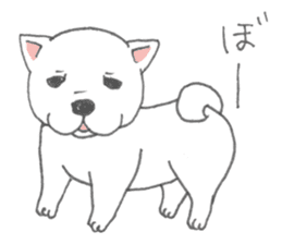 Puppy of white shiba inu sticker #3915618