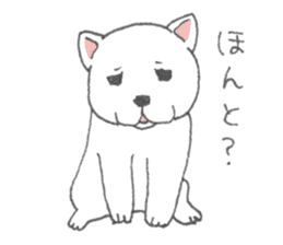 Puppy of white shiba inu sticker #3915619