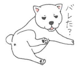 Puppy of white shiba inu sticker #3915621