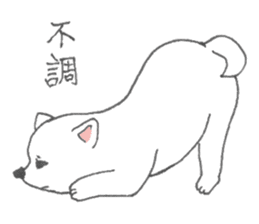 Puppy of white shiba inu sticker #3915622
