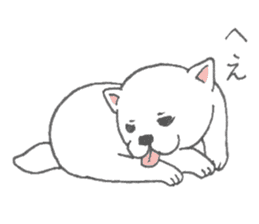 Puppy of white shiba inu sticker #3915623