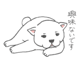 Puppy of white shiba inu sticker #3915624