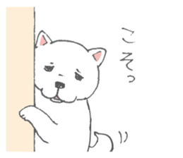 Puppy of white shiba inu sticker #3915627