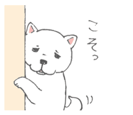 Puppy of white shiba inu sticker #3915627