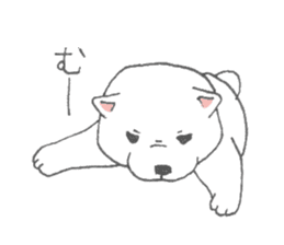 Puppy of white shiba inu sticker #3915628