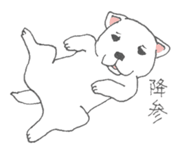 Puppy of white shiba inu sticker #3915629