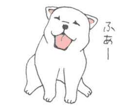 Puppy of white shiba inu sticker #3915630