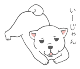 Puppy of white shiba inu sticker #3915631