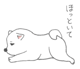 Puppy of white shiba inu sticker #3915634