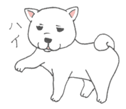 Puppy of white shiba inu sticker #3915635