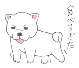 Puppy of white shiba inu sticker #3915639