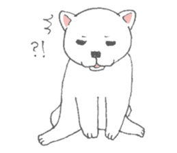 Puppy of white shiba inu sticker #3915640