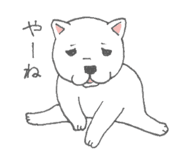 Puppy of white shiba inu sticker #3915641