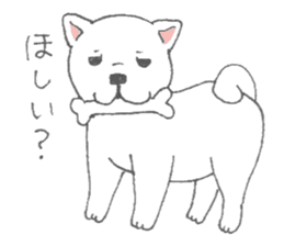 Puppy of white shiba inu sticker #3915643