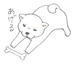 Puppy of white shiba inu sticker #3915644