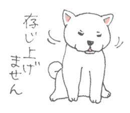 Puppy of white shiba inu sticker #3915645