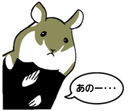 Black-bellied Hamster sticker #3915687