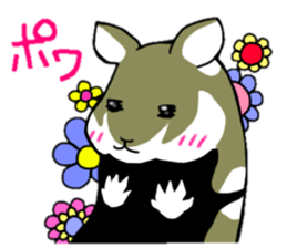 Black-bellied Hamster sticker #3915691