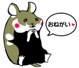 Black-bellied Hamster sticker #3915694