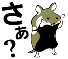 Black-bellied Hamster sticker #3915695