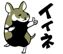 Black-bellied Hamster sticker #3915701