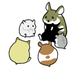 Black-bellied Hamster sticker #3915702