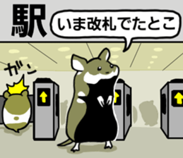 Black-bellied Hamster sticker #3915714