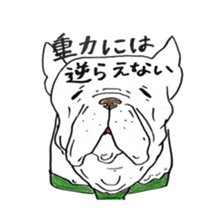 Sticker of a French bulldog and the bird sticker #3916418