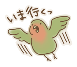 Meet a parakeet sticker #3918087