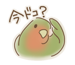 Meet a parakeet sticker #3918091