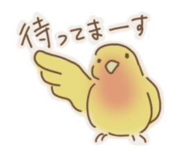 Meet a parakeet sticker #3918095