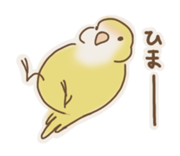 Meet a parakeet sticker #3918098