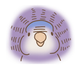 Meet a parakeet sticker #3918105