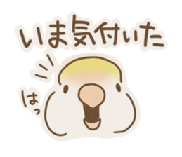 Meet a parakeet sticker #3918114