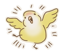 Meet a parakeet sticker #3918120