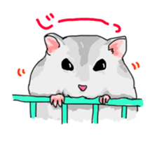 LOVE Hamster2 sticker #3921373
