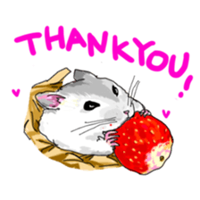 LOVE Hamster2 sticker #3921375