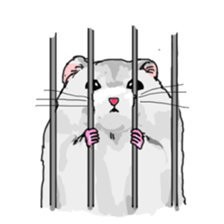 LOVE Hamster2 sticker #3921383