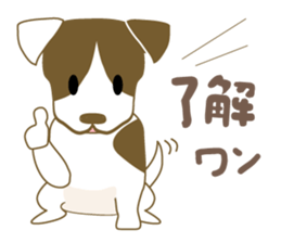 Jack Russell Terrier dog shy sticker #3922447