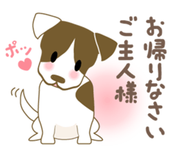 Jack Russell Terrier dog shy sticker #3922448