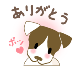 Jack Russell Terrier dog shy sticker #3922453
