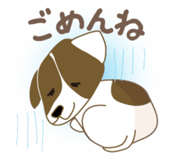 Jack Russell Terrier dog shy sticker #3922454