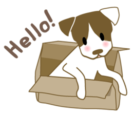 Jack Russell Terrier dog shy sticker #3922455